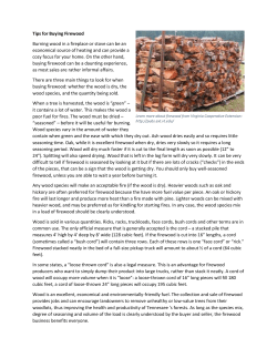 Tips for Buying Firewood Burning wood in a fireplace or stove can