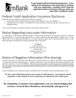 Consumer Loan Application