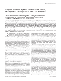 Flagellin Promotes Myeloid Differentiation Factor 88