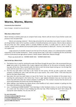 Worms, Worms, Worms - Eco House and Garden