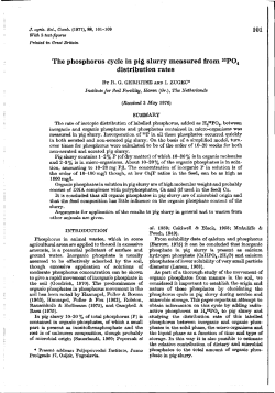 The phosphorus cycle in pig slurry measured from 32P04