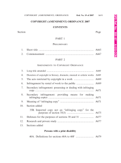 COPYRIGHT (AMENDMENT) ORDINANCE 2007