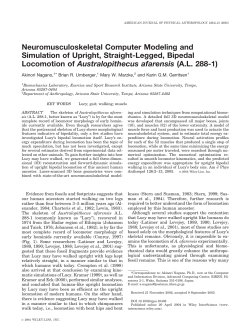 Neuromusculoskeletal computer modeling and simulation of upright