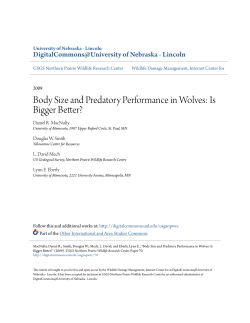 Body Size and Predatory Performance in Wolves: Is Bigger Better?