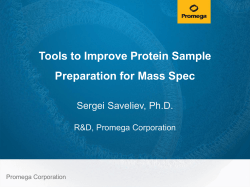 a PDF of the presentation slides