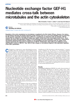Nucleotide exchange factor GEF-H1 mediates cross