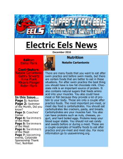 Electric Eels News - Slippery Rock Eels Swim Team