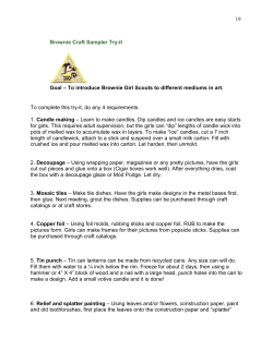 Brownie Craft Sampler - Girl Scout Council`s Own Badges