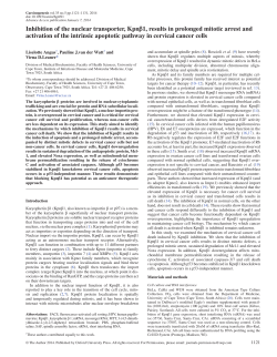 Inhibition of the nuclear transporter, Kpn&beta;1, results in prolonged