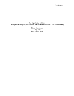 The Experiential Sublime - Institutional Scholarship