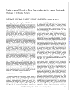 Spatiotemporal Receptive Field Organization in the Lateral