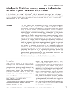 Mitochondrial DNA D-loop sequences suggest a Southeast Asian