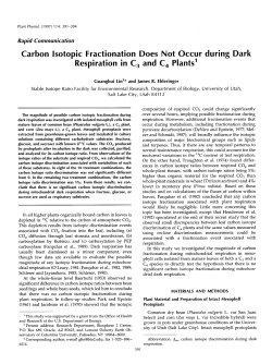 Carbon lsotopic Fractionation Does Not Occur during Dark