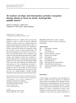 Do nuclear envelope and intranuclear proteins