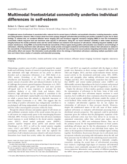 Multimodal frontostriatal connectivity underlies individual differences