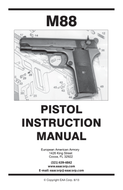 pistol instruction manual - European American Armory