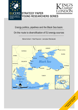 Young Researchers Series No.1