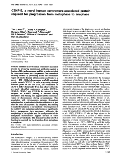 CENP-E, a novel human centromere-associated protein required for