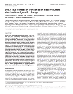 DksA involvement in transcription fidelity buffers stochastic