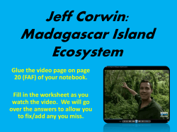 Jeff Corwin: Madagascar Island Ecosystem