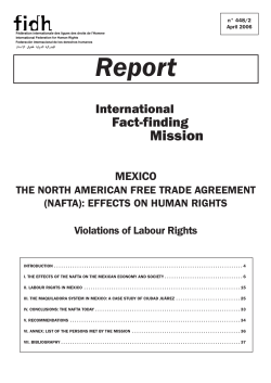 mission report on the effects on human rights of the