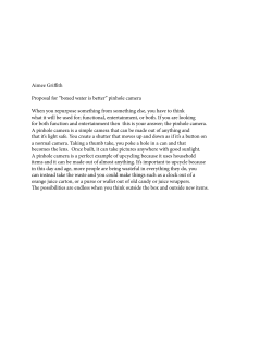 Aimee Griffith Proposal for &ldquo;boxed water is better&rdquo; pinhole camera