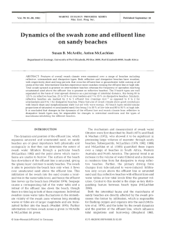 Dynamics of the swash zone and effluent line on sandy beaches
