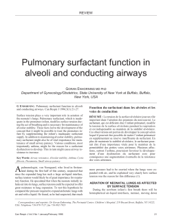 Pulmonary surfactant function in alveoli and conducting