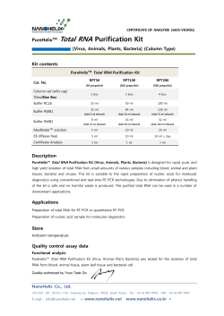 HelixAmp&trade; Taq DNA polymerase
