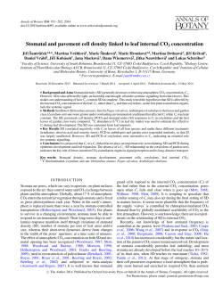 Stomatal and pavement cell density linked to leaf internal CO2