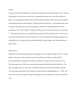 Abstract Consumers in the Virgin Islands have a preference for large