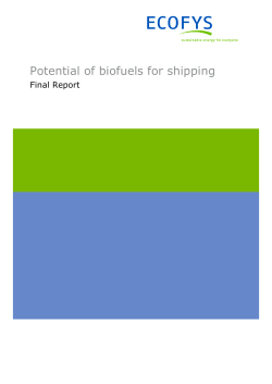 Potential of biofuels for shipping