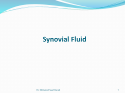 Synovial Fluid