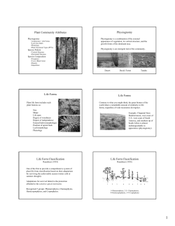 Plant Community Attributes