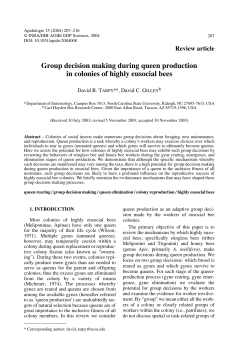 Group decision making during queen production in colonies of