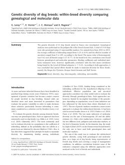 Genetic diversity of dog breeds: within