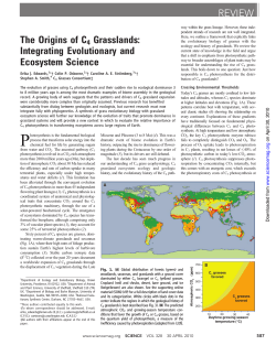 The Origins of C4 Grasslands: Integrating