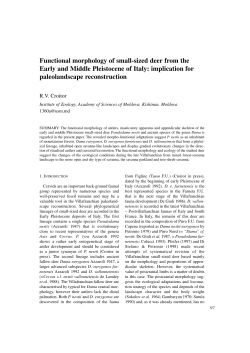 Functional morphology of small-sized deer from the Early and