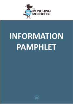 Info Pamphlet - The Munching Mongoose