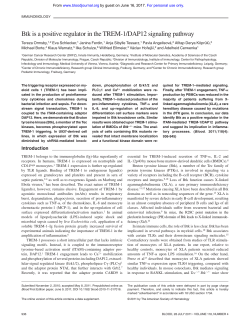 Btk is a positive regulator in the TREM-1/DAP12