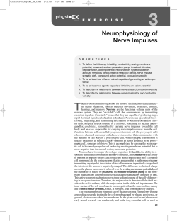 Lab 03 - Nerve Impulses - Austin Community College