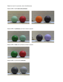 Objects are seen in succession, never simultaneously. Objects differ