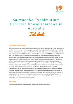 Salmonella Typhimurium DT160 in House