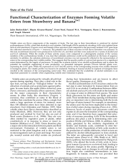 Functional Characterization of Enzymes Forming