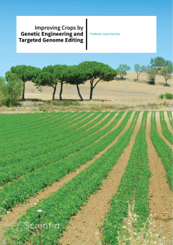 Improving Crops by Genetic Engineering and Targeted Genome