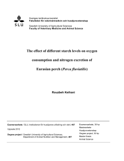 The effect of different starch levels on oxygen