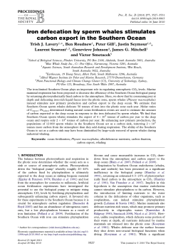 Iron defecation by sperm whales stimulates carbon export in the