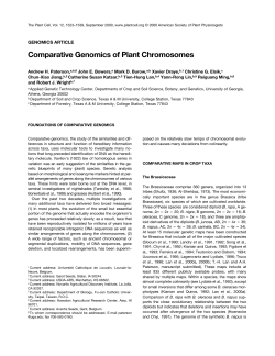 Comparative Genomics of Plant Chromosomes