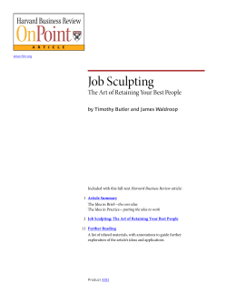 Job Sculpting - XAGE Consultancy