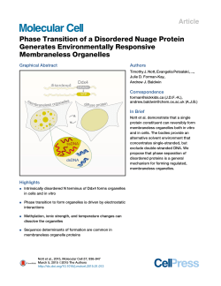 Phase Transition of a Disordered Nuage Protein